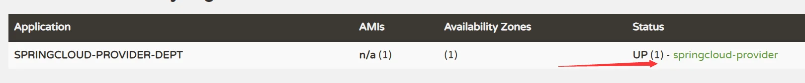 eureka详细信息修改成功