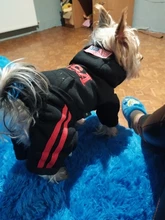 Jumpsuit Clothing Hoodies Jacket Pet-Dog-Coats Small Dogs Sport Apparel Winter Fashion