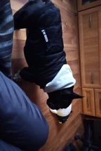 Jacket French Bulldog Dog Winter SUPREPET Coat Pet-Dog Dogs Large Cotton for Warm Perro