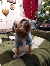 Overalls Fleece Dogs Winter for Star Corduroy Teddy XS M XL