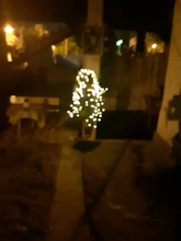 Fairy-Light Fence Led-String Tree Solar Outdoor Garden 200LED ECLH 2mx10 Vines-Branch