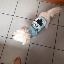 Abrigo con capucha para perro mascota, ropa de invierno para perros pequeños, sudadera para Chihuahua, Yorkies, disfraz de cachorro y gato, ropa para mascotas