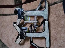 Pet-Harness Truelove Walk Padded Seat-Belt Handle Reflective-Dog Adjustable Small Soft