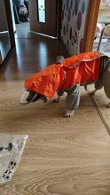 Jumpsuit Raincoat Pet-Cloak Teddy Waterproof-Jacket HOOPET Dogs Chihuahua for Small Cat