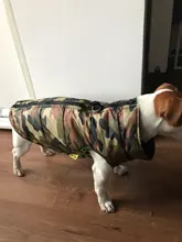 Puppy-Clothes Dog-Jacket Small Chihuahua Waterproof Winter Camo-Pattern Petshop Perro