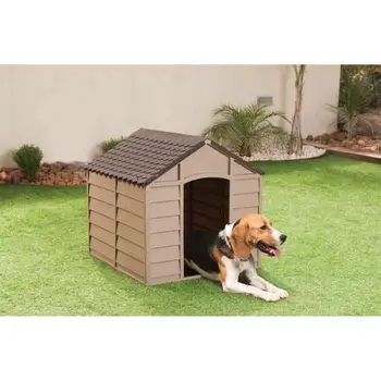 

Niche plastic dog