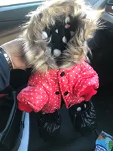 Coat Dogs-Clothing Dot-Pattern Winter Hooded Pet-Dogs New Xl To High-Quality