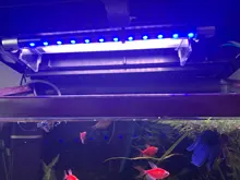 Chihiros-luz Led para acuario serie A, tapa para cultivo de plantas, lámpara para acuario aéreo, con regulador de intensidad, 5730