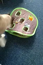 Juego de ratones de Gato para mascotas, tienda de campaña con campana de juguete de inteligencia con 9 agujeros, túnel de juego para gatos, ratón abatible, juguetes para mantener a los gatitos activos