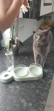 Cuenco para gato mascota doble cuencos de comida alimentador de agua con Auto dispensador de agua perro gato comida beber planteado soporte plato tres cuencos