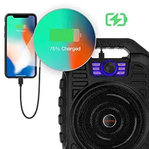 EARISE T26 Portable PA System Bluetooth Speaker & Wireless Microphone Karaoke Machine & FM Radio Au