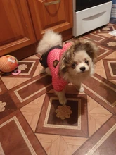 Coat Dogs-Clothing Dot-Pattern Winter Hooded Pet-Dogs New Xl To High-Quality