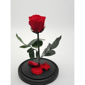 

Rose in a flask mini red 22*12.5*6 cm