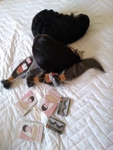 Miss Rola Hair 13x4 Bob corto peluca con malla Frontal pelucas de cabello humano Bob malasio pelucas de encaje Frontal cabello recto Remy 150% de densidad