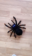 Control remoto para mascotas, simulación electrónica de tarantula, ojos brillantes, araña negra inteligente, 4 canales, broma, terrorífico, juguete para regalo