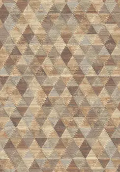 

Carpet Collection "billionare" b05-ohr 80x150 cm 59261