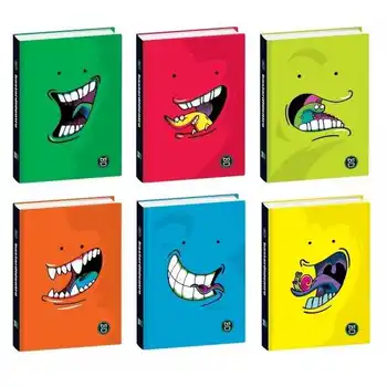 

BD Agenda Diary Pocket 16 months dated 2019/20