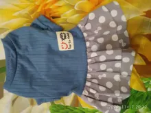 Dog-Dress Dogs-Skirt Yorkshire Summer Chihuahau Dot 