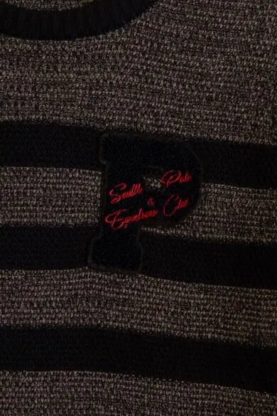 Uss. POLO ASSN. Детский темно-синий обычный свитер