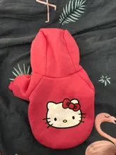 Clothing for Dogs Winter Warm Clothes Dog Hoodies Outfit Jacket Clothing for Dogs Chihuahua