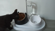 600ml Pet Dog Cat Automatic Feeder Bowl for Dogs Drinking Water Bottle Kitten Bowls Slow