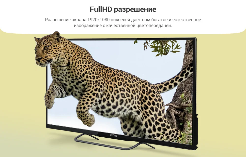 P40L33T2CSM_polar_rich_1100-U