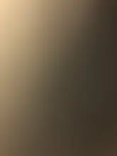 E***.