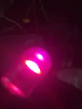 Light-Wedge-Lights Lamp Marker License-Plate-Bulbs Car Led Reading Dome T10 W5w White Red