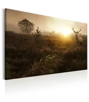 

Picture-Foggy Field