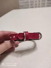 Dog-Collar Dogs Pink Customized Engraved Yorkies Chihuahua for Small