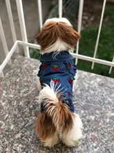 Ropa vaquera de XS-2XL para perro, abrigo para perros, ropa de cachorro, pantalones vaqueros para perro, chaqueta, chaleco abrigo para perro, trajes para cachorro, ropa para gato