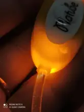 Alta calidad 1 Uds Multi-color LED Collar de perro ajustable mascota de seguridad nocturna Collar luminoso luz perro brillante Collar Correa