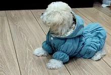 Hoodie Coat Outfit Warm-Dress Girl Dog Winter Princess New Floral 6-Sizes Bubble-Skirt