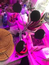 Grow-Light Lamps Timer Flowers Desktop-Clip LED Phyto Full-Spectrum For Plants DC5V USB