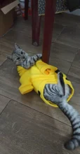 Pajamas Hoodie Cat-Costume Dog-Coat Puppy Cosplay SUPREPET Winter Cute Autumn Cartoon