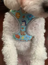 Arnés para perro o gato reflectante personalizado, chaleco para mascota, conjunto de correa ajustable para caminar para cachorro, perros medianos y pequeños, suministros para mascotas Chihuahua