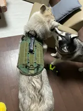 Vest Pouches Pet-Harness Dogs No-Pull Training Molle Military Hiking Tactical Large Medium