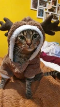 Christmas Cat Clothes Halloween Clothes For Cats Costume New Year Outfit Pet Cat Clothes