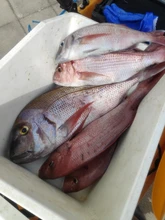 Lunker resplandor luminoso Ultravioleta fluorescente volar hilo de pesca strand línea de cuerda atar diy material ayudar ganchos moscas