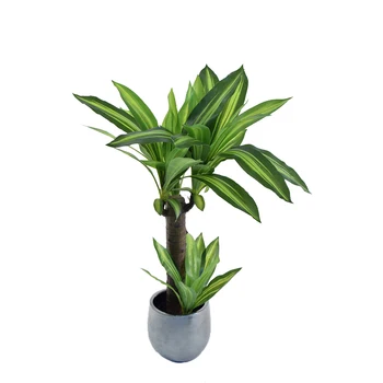 

Artificial drachena, made with the best materials, Ideal for home decoration