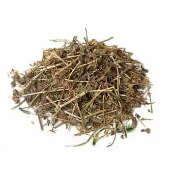 

Mugwort