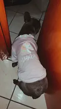 Cute Pet Dog Clothes Puppy sweater T-shirt Shirt Cute Rainbow printing Pajamas Cat 
