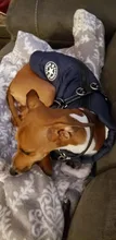 Vest Coat Harness Dog-Jacket Pet-Dog French Bulldog Small Medium Dog Waterproof Winter
