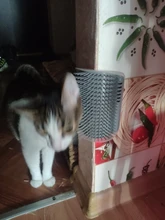 Cats Brush Pet-Product Groomer Cat-Massage Corner Comb Tickling The-Face with Rubs