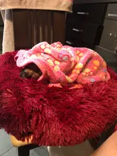 Cat Bed Bench Pet-Bed Chihuahua Kennel Dog-House Large-Mat Round Plush Long for Big Super-Soft