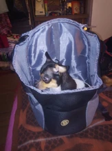 Backpack Teddy Carrying Golden-Retriever Chest-Bag Puppy Pets Dogs Kitten Outdoor Breathable