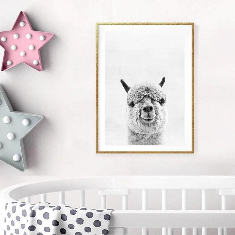 Animal Alpaca Art Canvas Prints Home Decor