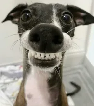 Vidrio templado para ALLDOCUBE iPlay30 iPlay20 iPlay10 iPlay8 Pro iWork iPlay 30 20 10 8T 8T 7 M8 M5 X Neo XNeo Protector de pantalla