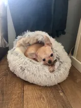 HOOPET-cama para gato y perro, cama para gato y perro de felpa redonda, cálida, suave y larga, para perros pequeños, nido 2 en 1, nuevo estilo