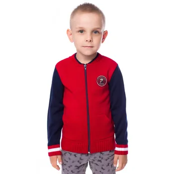 

Children's jacket for boys red 2020 winter spring Alex with a zipper long-sleeved classic